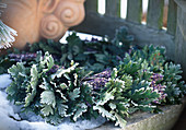 Wreath of oak leaves and lavandula (lavender in hoarfrost)