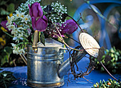 Gießkanne mit lila Tulpen, Narzissen, Gypsophila (Schleierkraut)