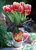 Tulipa- Hybr. (Tulpen), Hedera (Efeukranz)