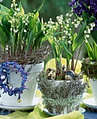 Convallaria majalis (lily of the valley), quail eggs, hyacinth wreath