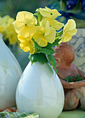 Viola cornuta Patiola 'Pure Lemon Yellow'