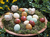 Osternest mit gefärbten Eiern und Küken