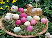 Osternest mit gefärbten Eiern, Küken und Osterlamm