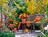 Terrace in orange (yellow); Narcissus 'Pipit', Tulipa (tulip)