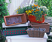 Material overview of various window boxes