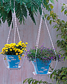 Ceiling mount for hanging baskets