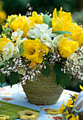 Narcissus hybr. 'Cheerfullness' (white filled), 'Thalia' (white)