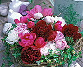Bowl with Paeonia (peonies), wreath of clematis vines