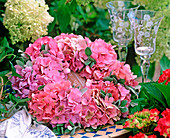 Hydrangea macrophylla (Hydrangea) flowers wreath