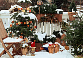 Christmas balcony with Abies (fir) as Christmas tree