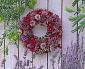 Moss wreath with nigella (maiden in the green)