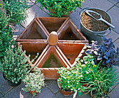 Plant round of triangular clay pots with herbs