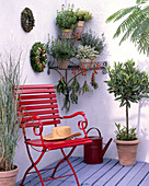 Corner shelf made of wire with herbs, Origanum, Thymus, Satureja