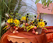 Tontöpfchen mit Heliopsis (Sonnenauge), Rudbeckia (Sonnenhutfrüchte), Dill, Pennise