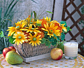 Basket jardiniere with Rudbeckia (coneflower), Calendula (marigold)