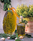 Herbal oil with rosemary and thyme, thymus citriodorus