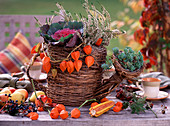 Basket watering can with brassica (ornamental cabbage), calluna (heather), physalis (lampion flower)