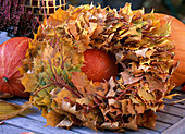 Leaf wreath of Acer (maple leaves), Cucurbita (pumpkins)