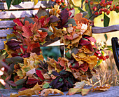 Acer maple leaf wreath, Euonymus-Pfaffenhütchen, Viburnum snowball