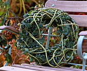 Wreath of Euphorbia myrsinites (Roller spurge)