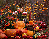 Cucurbita (pumpkins), Malus (apples) and ornamental apples, Capsicum (ornamental peppers)