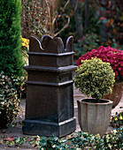 Metal column with Hedera (ivy), Buxus 'Variegata' (boxwood)