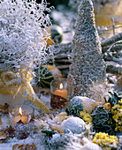 Winter decoration with Greiskraut and ornamental pumpkins in hoar frost