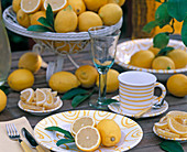 Citrus limon (Zitronen9