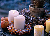 Kerzen mit Rauhreif, Malus / Äpfeln, Acer / Ahornlaub