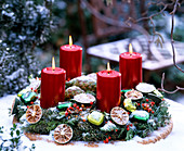 Advent wreath on the terrace: Abies procera (Nobilistanne), Citrus (lime peel)