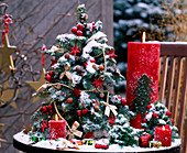 Abies procera / Nobilistanne,gebundenes Bäumchen, weihnachtlich geschmückt