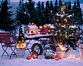Christmas terrace with decorated Abies nordmanniana (Nordmann fir), Picea glauca