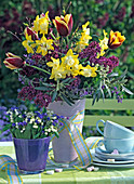 Tulipa 'Gavota' (Tulpen), Narcissus' Pipit' (Narzissen), Syringa
