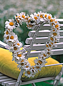 Leucanthemum (spring daisy) on preformed wire heart