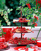 Etagere mit Ribes (roten Johannisbeeren), Prunus (Kirschen)