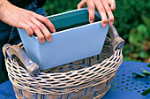 Arrangement in the basket