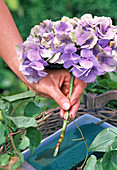 Arrangement in the basket