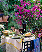 Bougainvillea, Lavandula (Lavendel), Olea (Olivenbaum), Brot, Käse