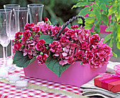 Hydrangea, Dianthus (carnation)