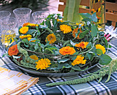 Calendula officinalis and 'Kablouna Mix' (Marigold)