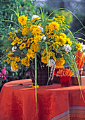 Rudbeckia (Sonnenhut), Helianthus (Sonnenblumen)
