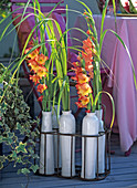 Gladiolus (gladioli), Spartina (golden bar grass)