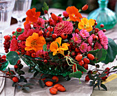 Rosa glauca (rosehips), Aster (autumn asters), Tropaeolum (nasturtiums), Zinnia (zinnias)