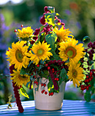 Helianthus (sunflowers), Rosa (rosehips). Amaranthus (foxtail)