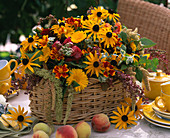 Arrangement in basket: coneflower (Rudbeckia), marigold (Tagetes), marigold (Calendula)