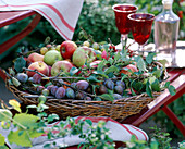 Korb mit Malus (Äpfeln), Prunus (Zwetschgen) und Pfirsichen,) Birnen, Crataegus und Vitis