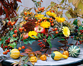 Calendula (marigolds), Malus (apples), Rosa (rosehips), Cucurbita (pumpkins)