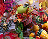 Braune Schale mit Wildem Wein (Parthenocissus), Hagebutten (Rosa), Clematis