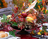 Braune Schale mit Parthenocissus (Wildem Wein), Clematis (Waldrebe), Cucurbita