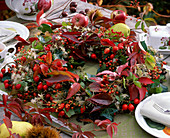 Pink rosary (rosehip), hedera (ivy)